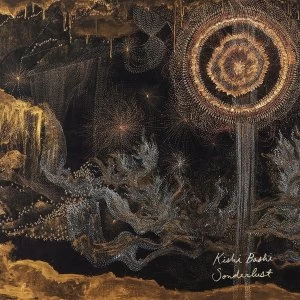 Image of Kishi Bashi - Sonderlust Vinyl