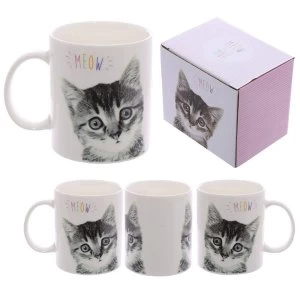 Image of MEOW Kitten Design New Bone China Mug