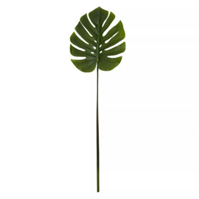 Image of Premier Housewares Fiori 109cm Green Stem Monstera Palm Green