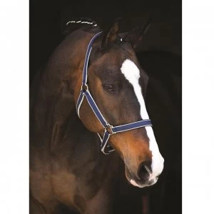 Image of Amigo Headcollar - Navy/Silver
