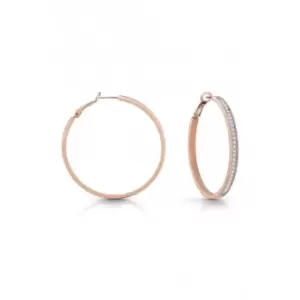 Image of Ladies 50mm Rose Gold Plated Hoop Earrings UBE02247RG