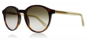 Image of Tommy Hilfiger 1389/S Sunglasses Havana / Beige QTFCC 52mm