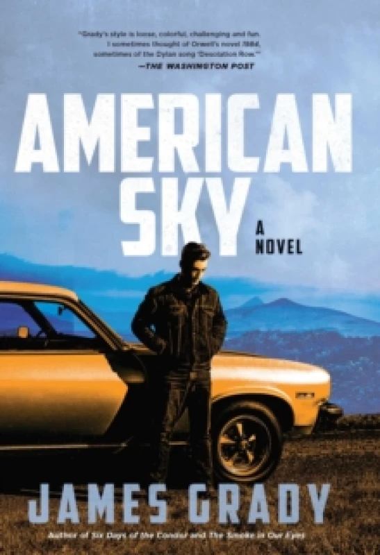 Image of American Sky : A Novel Hardback