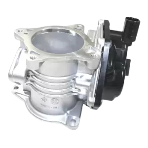 Image of ENGITECH Valve, exhaust gas recirculation ENT500503 VW,AUDI,SKODA,Passat Variant (3C5),GOLF VI (5K1),Polo Schragheck (6R1, 6C1),TIGUAN (5N_)