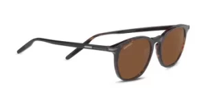 Image of Serengeti Sunglasses Arlie 8937