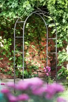 Image of Tom Chambers Black Powder Coated Classic 228cm x 110cm Metal Steel Garden Flower Arch