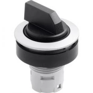 Image of Option key Metal Black 2 x 40