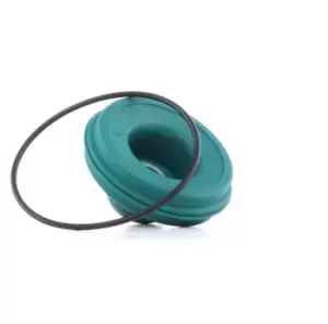 Image of AUTOFREN SEINSA Repair Kit, brake master cylinder CITROEN D1286