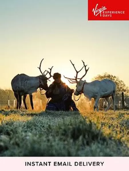 Image of Hot Chocolate, Meet & Feed the Reindeer