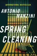 Image of spring cleaning a novel