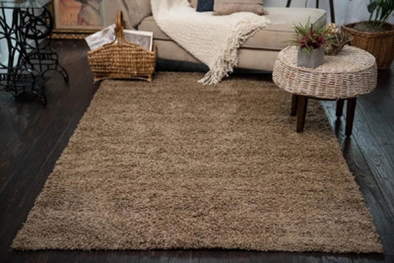 Image of Smart Living Smart Living Soft Fluffy 5cm Thick Pile Shaggy Area Rugs for Living Room, Bedroom in Beige Size: 60cm x 110cm Beige 60cm x 110cm Unisex