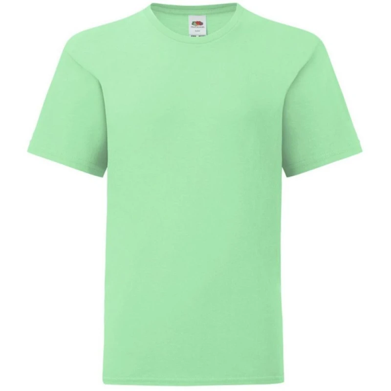 Image of Fruit of the Loom Iconic T-Shirt in Mint Size: 12-13 Years Mint Unisex 12-13 Years