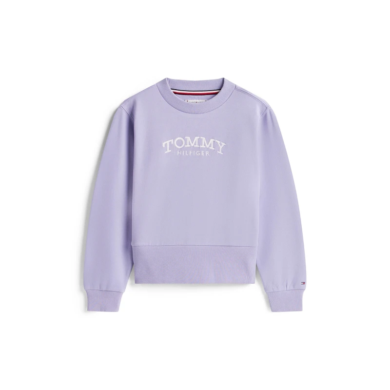 Image of Tommy Hilfiger Kids Crew Sweatshirt Dusk C5U female 12Y