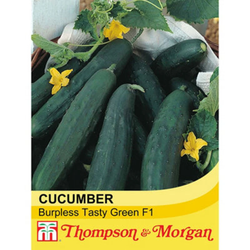 Image of Thompson & Morgan Cucumber Burpless Tasty Green F1 Hybrid 1 Seed Packet (10 Seeds)