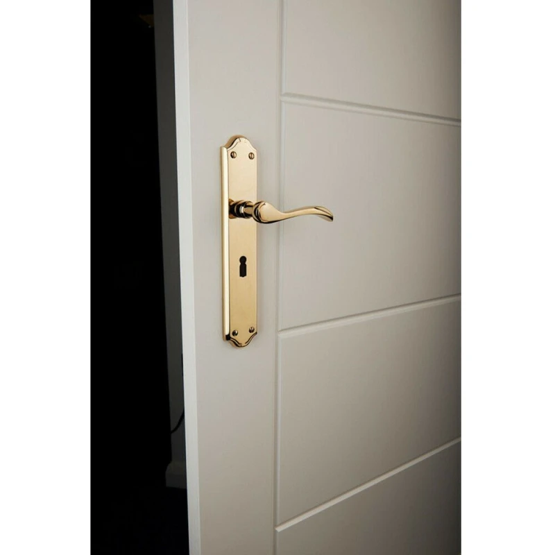 Image of Loops PAIR Curved Handle on Long Lock Backplate 245 x 45mm Polished Chrome Multi