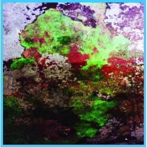 Image of LST ‎- Th Duo Vinyl