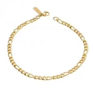 Image of Figaro Link Chain Yellow Gold Plated Bracelet B5411