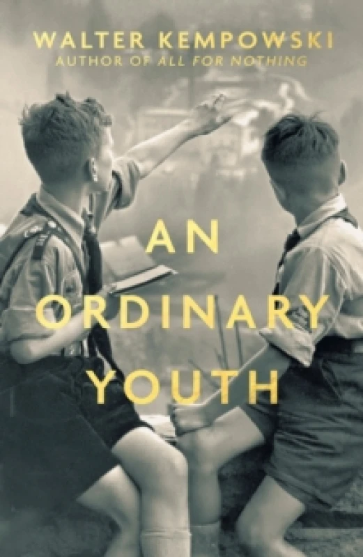 Image of An Ordinary Youth : A Novel Hardback