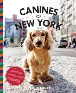 Image of canines of new york