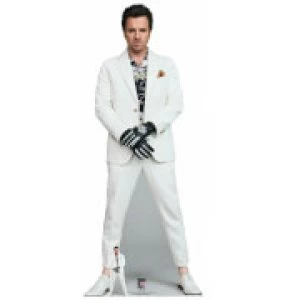 Image of Birds of Prey Black Mask Lifesized Cardboard Cut Out