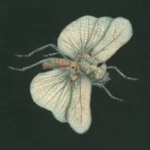 Image of Go Dig My Grave by Susanna CD Album