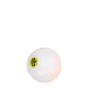 Image of Gunn And Moore and Moore Swing King Ball - Pink
