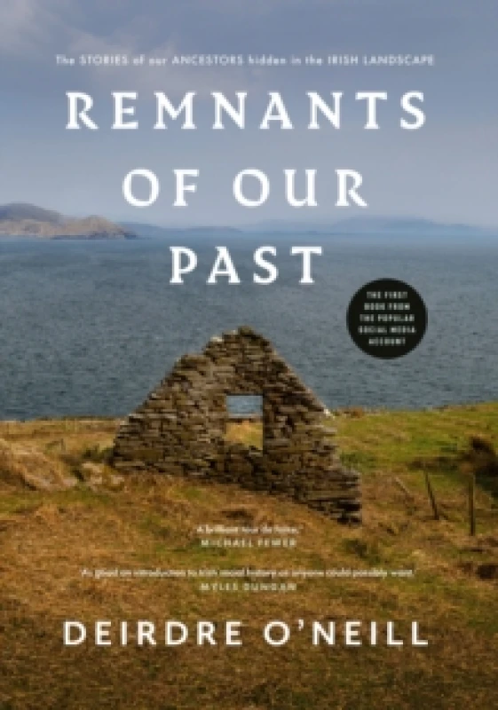 Image of Remnants of Our Past : The STORIES of our ANCESTORS hidden in the IRISH LANDSCAPE Hardback