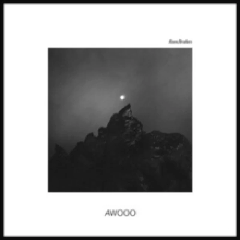 Image of Awooo (Autographed Edition) Vinyl
