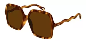 Image of Chloe Sunglasses CH0086S 005