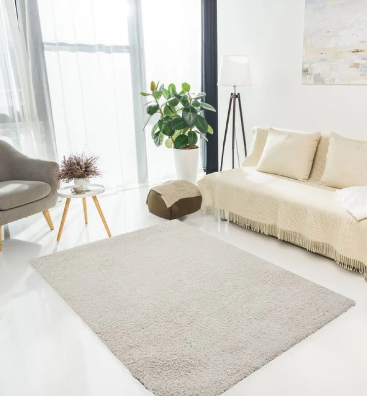 Image of Rugstyle Super Comfy Teddy Rug Plain Ivory in Silver Size: 120cm x 160cm Silver Unisex 120cm x 160 cm