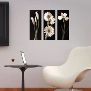 Image of XTP065 Multicolor Decorative Framed MDF Painting (3 Pieces)