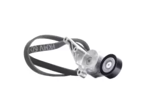 Image of SKF V-ribbed belt set VKMA 31091 Serpentine belt kit,Auxiliary belt kit VW,SEAT,Transporter V Bus (7HB, 7HJ, 7EB, 7EJ, 7EF, 7EG, 7HF, 7EC)