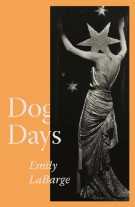 Image of Dog Days. Paperback. By Emily LaBarge Books