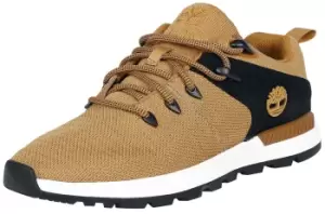 Image of Timberland Sprint trekker Sneakers brown