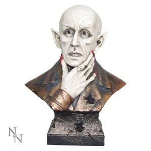 Image of The Count Bust