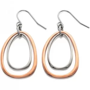 Image of Ladies Fiorelli Two-Tone Steel and Rose Plate Earrings