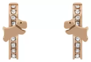 Image of Radley RYJ1290S Cuba Street Stone Set Hoop Jewellery