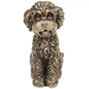 Image of Bronze Cockapoo Sitting Small