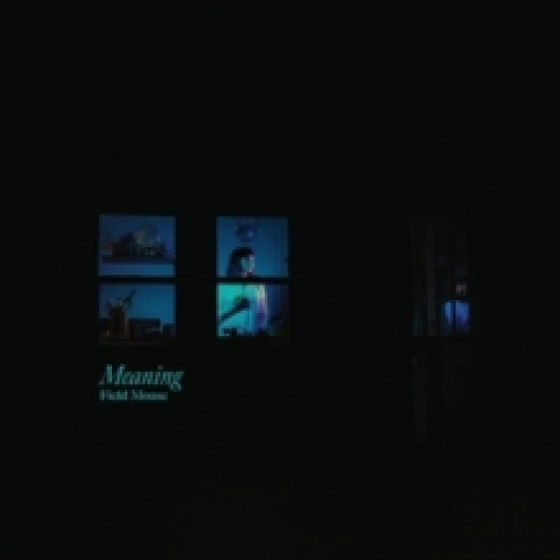 Image of Meaning Vinyl