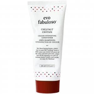 Image of evo Fabuloso Colour Boosting Conditioner/Treatment - Chestnut 220ml