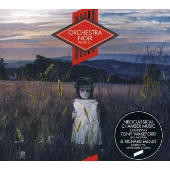 Image of Orchestra Noir - WHAT IF CD