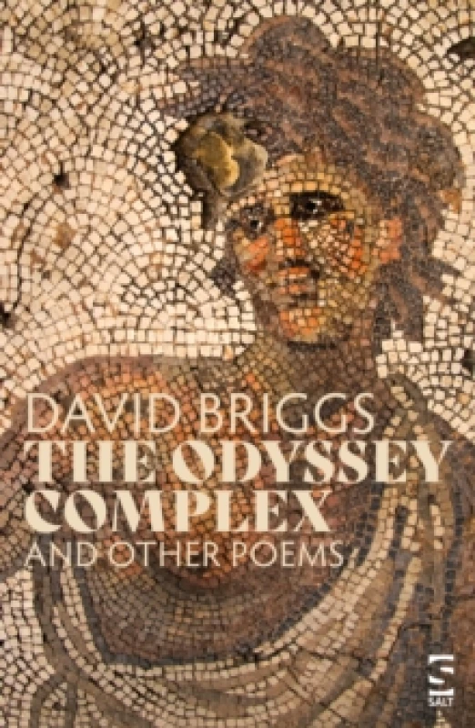 Image of The Odyssey Complex : and Other Poems Paperback / softback