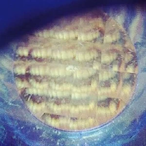 Image of Nick Hakim - Where Will We Go Pt. 1 & 2 12" Vinyl