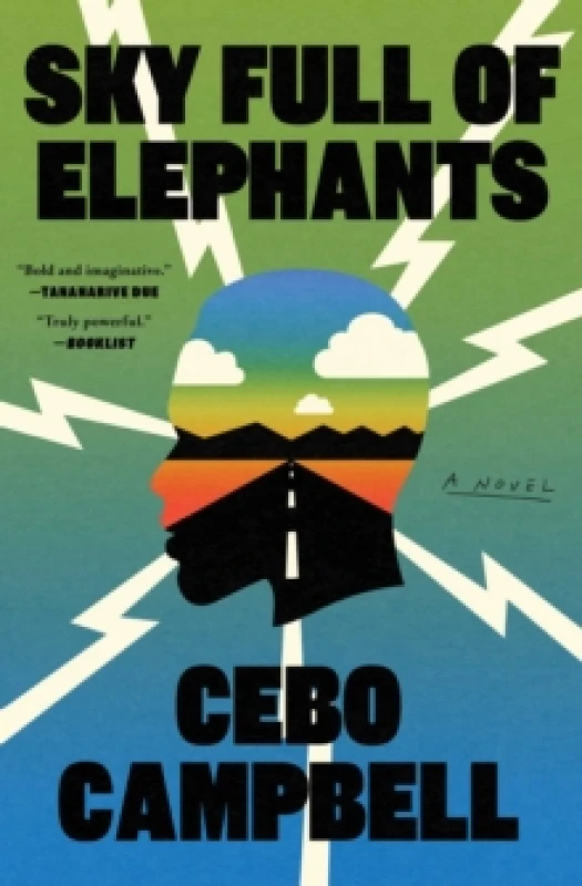 Image of Sky Full of Elephants : A Novel Paperback / softback