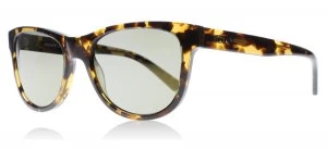 Image of DKNY DY4139 Sunglasses Tortoise 37004T 55mm