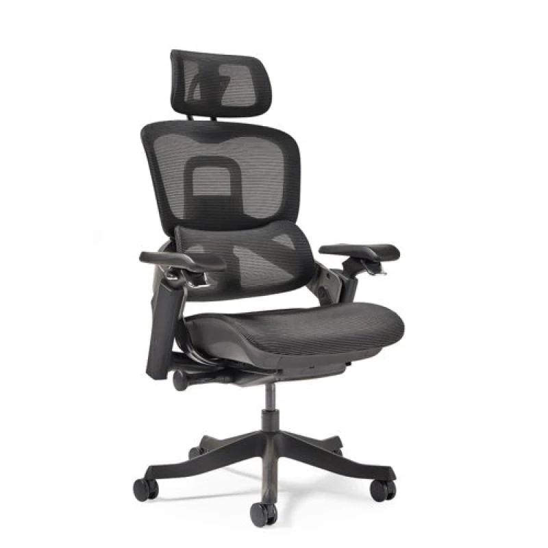 Image of Lyra Lyra is a fully ergonomic task chair with adjustable arms and integrated head rest in Black LYR300T1-K