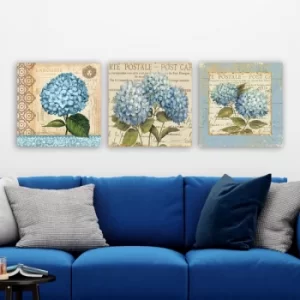 Image of drprc5000 Multicolor Decorative Canvas Painting (3 Pieces)