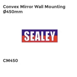 Image of Convex Mirror Wall Mounting 450mm