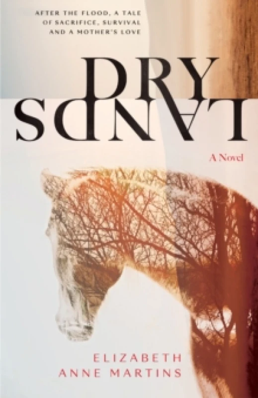 Image of Dry Lands Paperback / softback