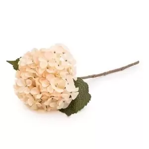 Image of Cream Hydrangea Artificial Flower Artificial Flower